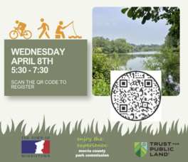 Carousel image c59ecf3308d87f9fa303 screenshot 2026 03 31 124440