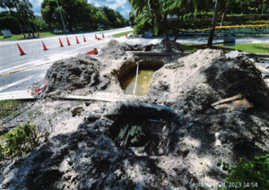 Carousel image c622b1 ity of oconut reek