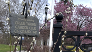 Carousel image c98563aeffd44f2a7303 screenshot 2026 04 05 at 8.52.41 am