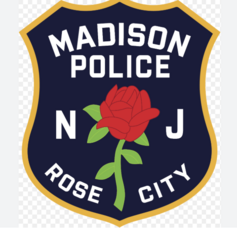 Carousel image ccc7c711066fb5327ec1 screenshot 2026 03 10 125027