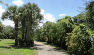 Carousel image clone 1680624 84f6be7842fa182fd2bd screenshot20251229at70948am