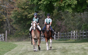 Carousel image clone 1706885 59e4b1a9893e0724a1a7 screenshot20260228at11644pm