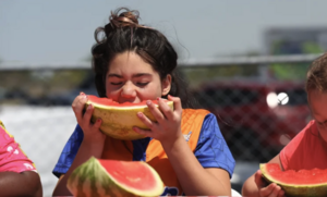 Carousel image clone 1721718 34f77103b80269c837d7 screenshot20260407at12441pm