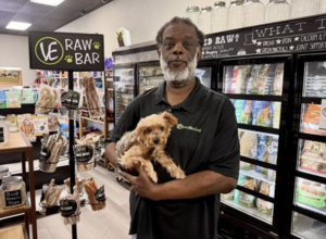 Carousel image da2d666ca166306695e0 screenshot 2026 04 10 at 4.27.49 pm