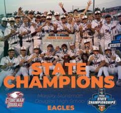 Carousel image e4fde2bafe297bb001b1 screenshot 2025 06 10 203212