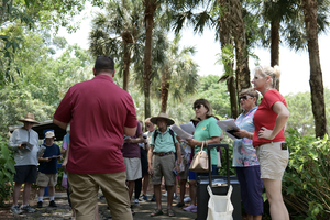 Carousel image f1d43976871102a13968 screenshot 2024 06 03 at 9.55.52 am