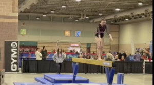 Carousel image f1d7cd5f6bc033cc408d screenshot 2026 03 20 095642