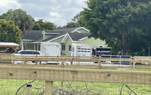 Carousel image f741a02eacd1a20d2d31 screenshot 2025 02 01 at 12.06.22 pm