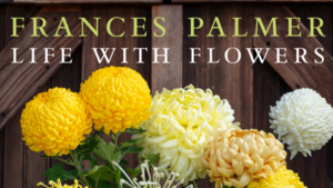 Carousel image fbbb0d4f9f913b4fd928 screenshot 2026 04 03 112916