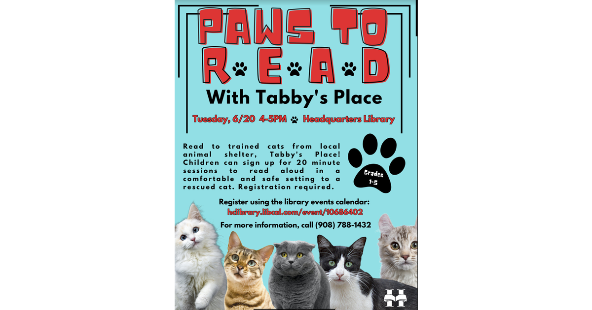 Read to Kittens and Cats at Tabby's Place! Flemington/Raritan, NJ