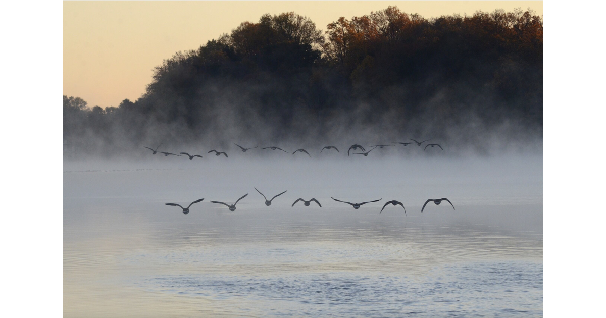 Photo of East Brunswick Wins First Place for "Picture Middlesex County