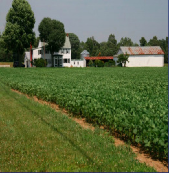 Local Farms Get Preliminary Approval for Farmland Preservation Program