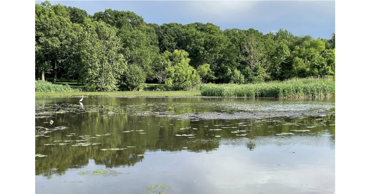 Briant Park Project Launches, yet Again Summit, NJ News TAPinto