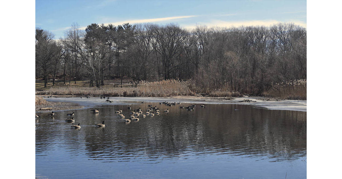 Phase One of Briant Park Pond Project Begins Summit, NJ News TAPinto