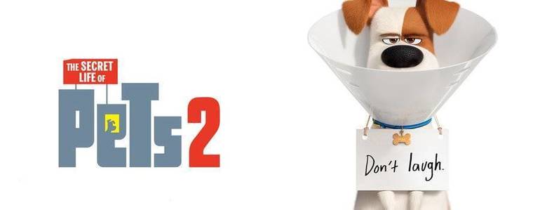 The Secret Life Of Pets Suffers The Sophomore Slump Tapinto