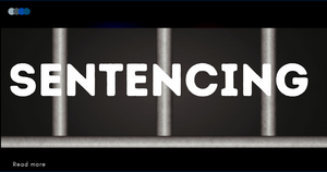 Carousel image 1ff2c4fca702d23b3cf2 sentencing canva