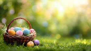 Carousel image 0451f05f64085f62f710 shutterstock 2686665445 main