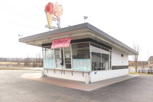 Carousel image 185fc9187919fe38e8c8 sharon springs willow trees removed photo