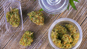 Carousel image 2eed40a0c5df41298411 shutterstock 1015248151 main