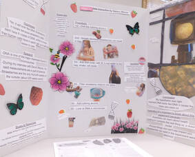 Carousel image dc6652b8f0c4755e70d7 smiles and science photo