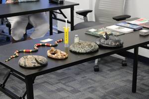 Carousel image clone 1720657 bbc3180bfb2a7e3ee1c9 snaketraining1