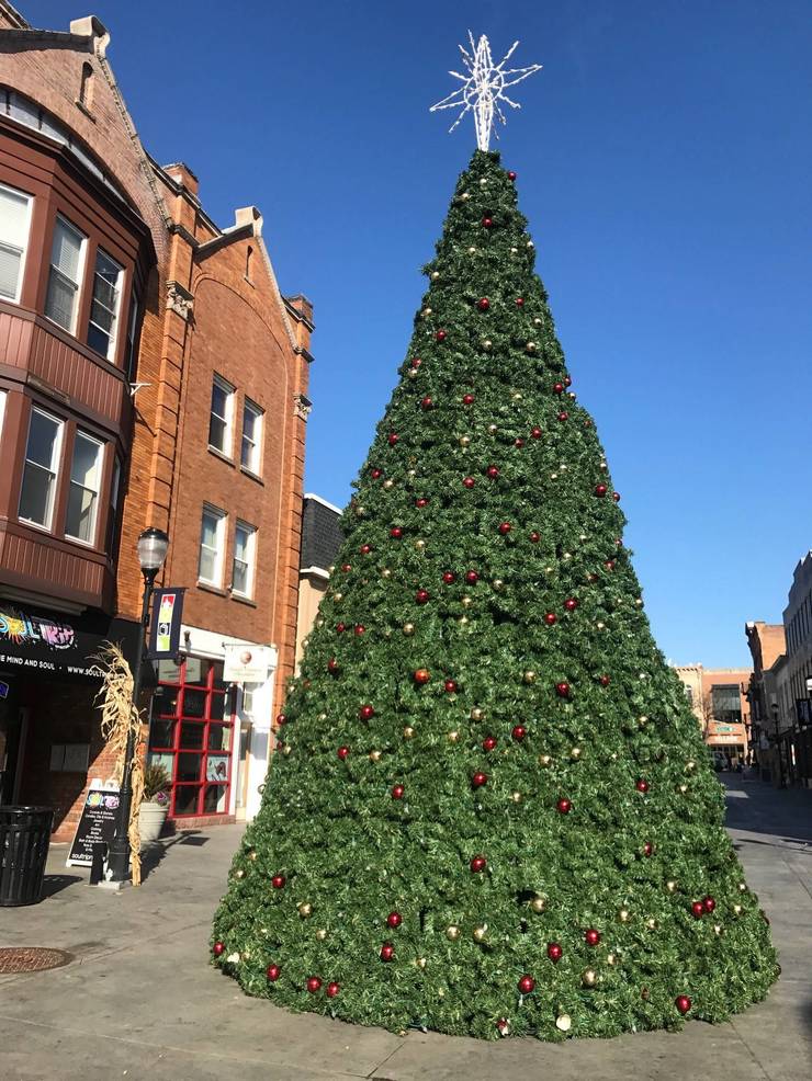 Somerville An Igloo On Division Street Yes Next To The Christmas Tree Tapinto