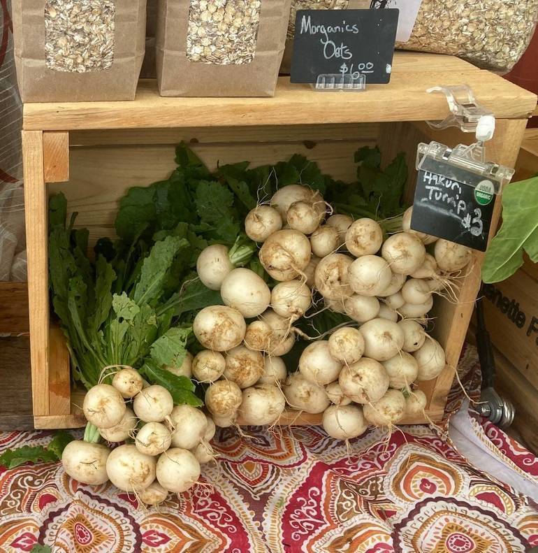 Rod Hirsch Somerset Regional Farmers' Market Opens 2026 Season in Somerville May 3 ...