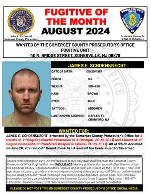 Carousel image 00e545132d27144a3556 sompixscpofugitiveofthemonth824