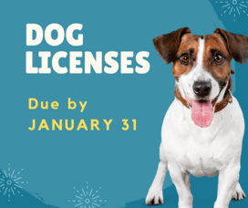 Carousel image 332b66b164140f8f666d sompixdoglicense2026