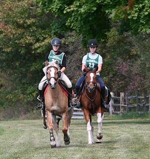 Carousel image 4f907bc2f8683e2c9940 sompixhorsebackridinglessons