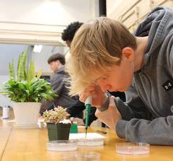 Carousel image 5a95b14631c7482a1975 sompixscvthscareertechmonth1