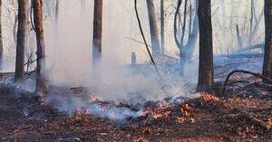 Carousel image e970a6 brush fire in solebury township