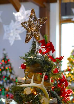 Carousel image ed00f531f7e31803c9bd sompixcountyxmastreedisplay2025
