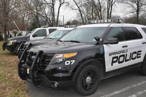 Carousel image b028cf21e0c37a338016 springfield police