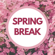 Carousel image d185f340f95bbc85aa21 spring break instagram post 