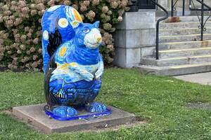 Carousel image 0a2b84dc94ece9540158 squirrel