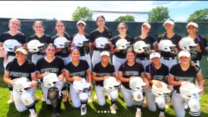 Carousel image 021b39ce422ea2ea6cdd steinert softball team
