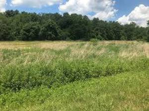 Carousel_image_09c8d22aa8c96fce17cb_stop_bht