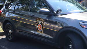 Carousel image 2f85c0 tate olice