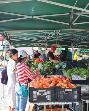 Carousel image 4c7079df20cc02d4a22d stonyhillfarms5