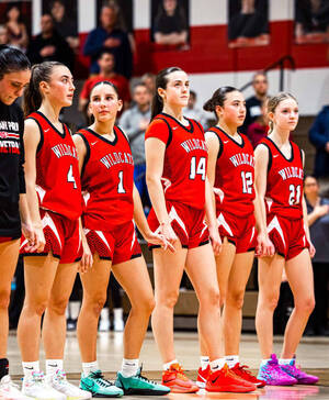 Carousel image 84a5d9ca8ef44c611e9c starting line up