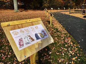 Carousel image a17d60a8228b5bd1e89d story walk board