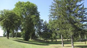 Carousel image clone 1717226 203e5229a496b31f0c5b stfrancisproperty1