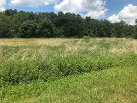 Top story 09c8d22aa8c96fce17cb stop bht