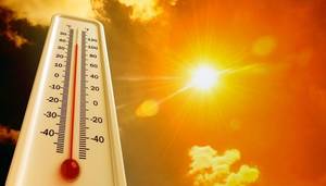 Carousel image 9da8f2656d725fd9f0c2 summer heat shutterstock 2472353719