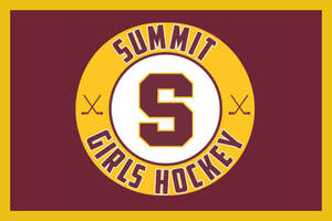 Carousel image a4fa2dd081a11857023c summit girls hockey 