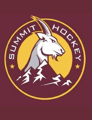 Carousel image d0a031ae62ee68bb8e4a summit hockey 