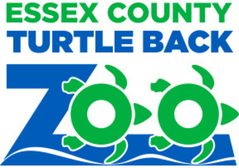 Coupon for turtle back zoo