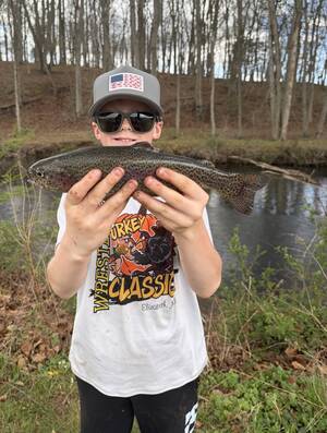 Carousel image 0c44de30eb6c7beb6ff6 tempimagel4ofwd