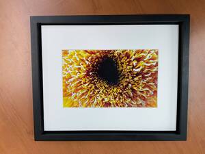 Carousel image 559049698cebec2942bc tempimageemiriu